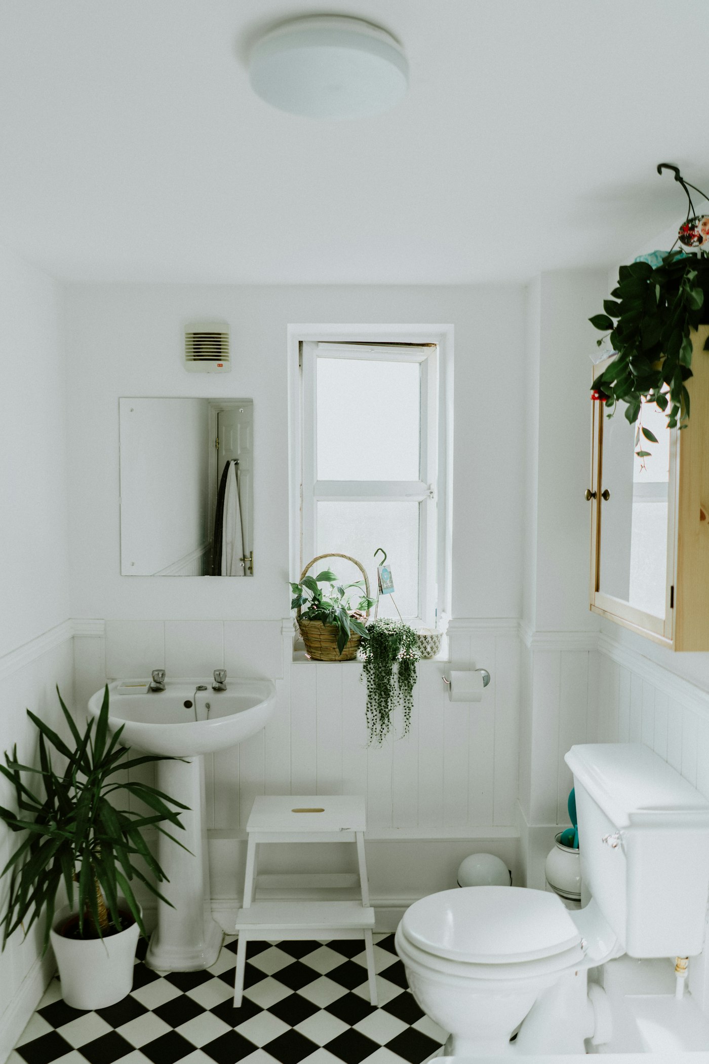 Specialty Services